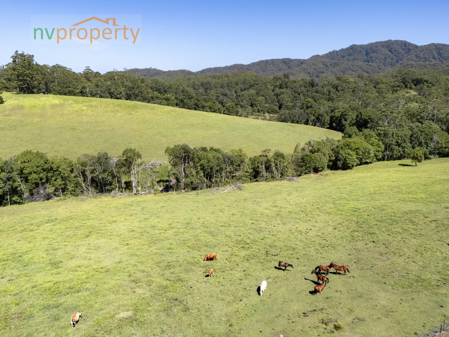 Additional image 20 of 657 Newee Creek Road, Newee Creek NSW 2447