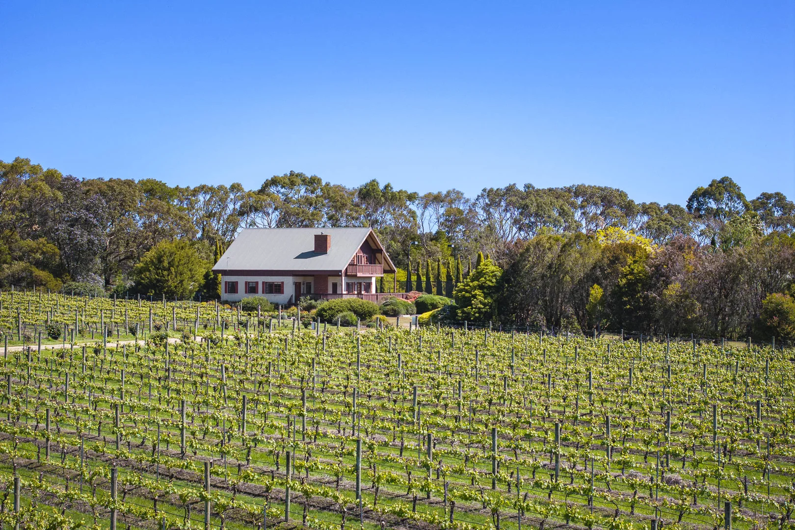 Additional image 6 of 437 Stumpy Gully Road, Balnarring VIC 3926