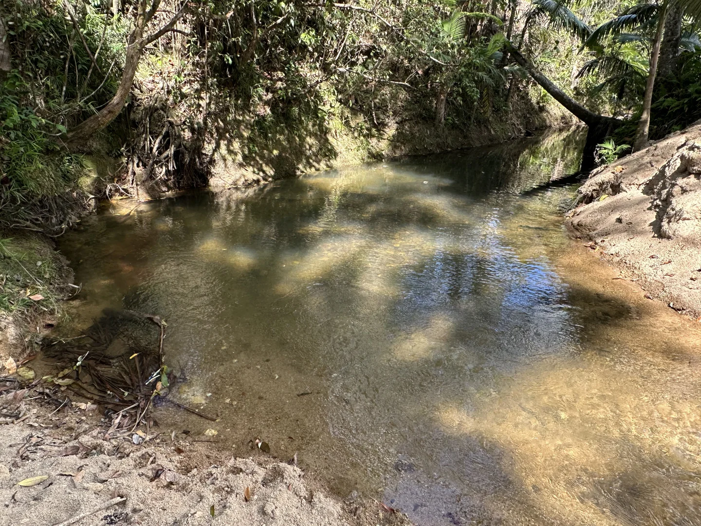 Additional image 8 of Feluga QLD 4854