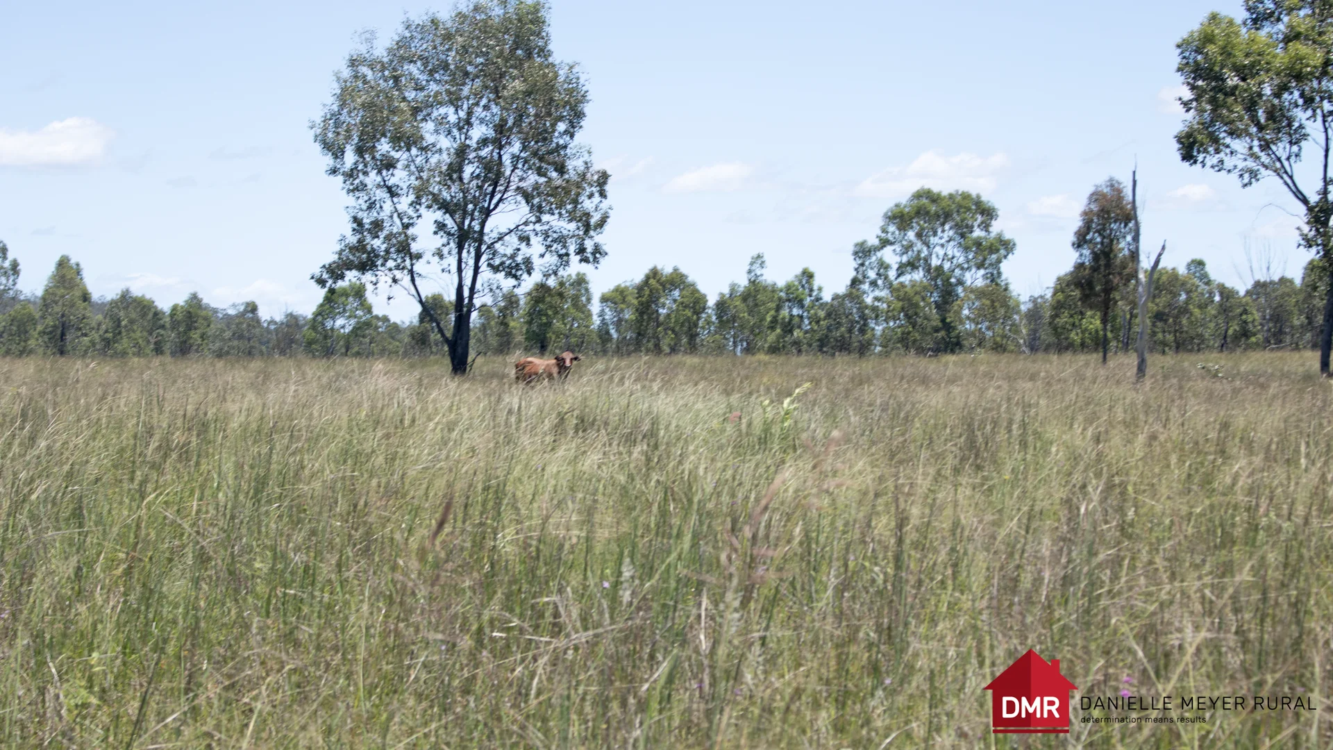 Additional image 53 of 8 Screening Plant Road, Cynthia QLD 4627