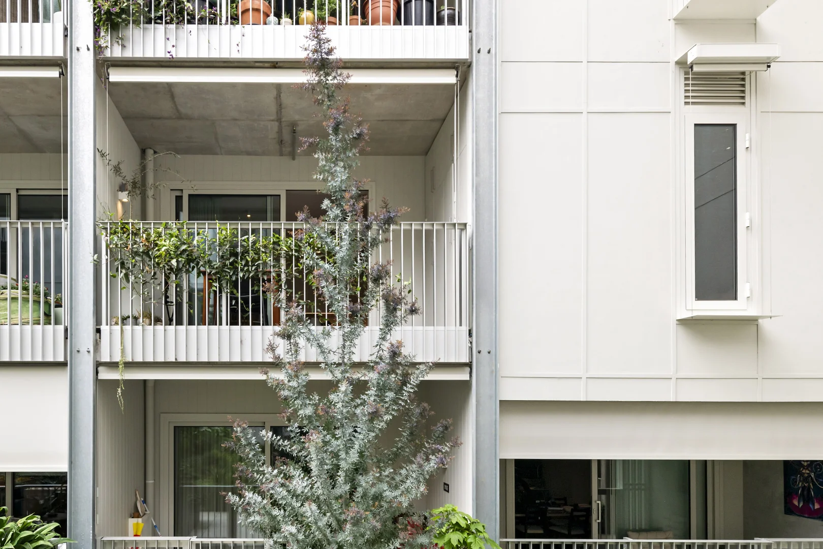 Additional image 11 of 204D/14 Little Miller Street, Brunswick East VIC 3057