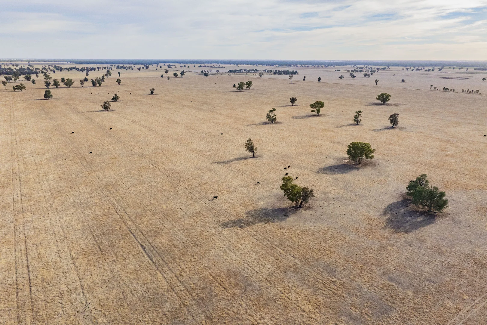 Additional image 10 of 1152 Central Island Road, Galore NSW 2650