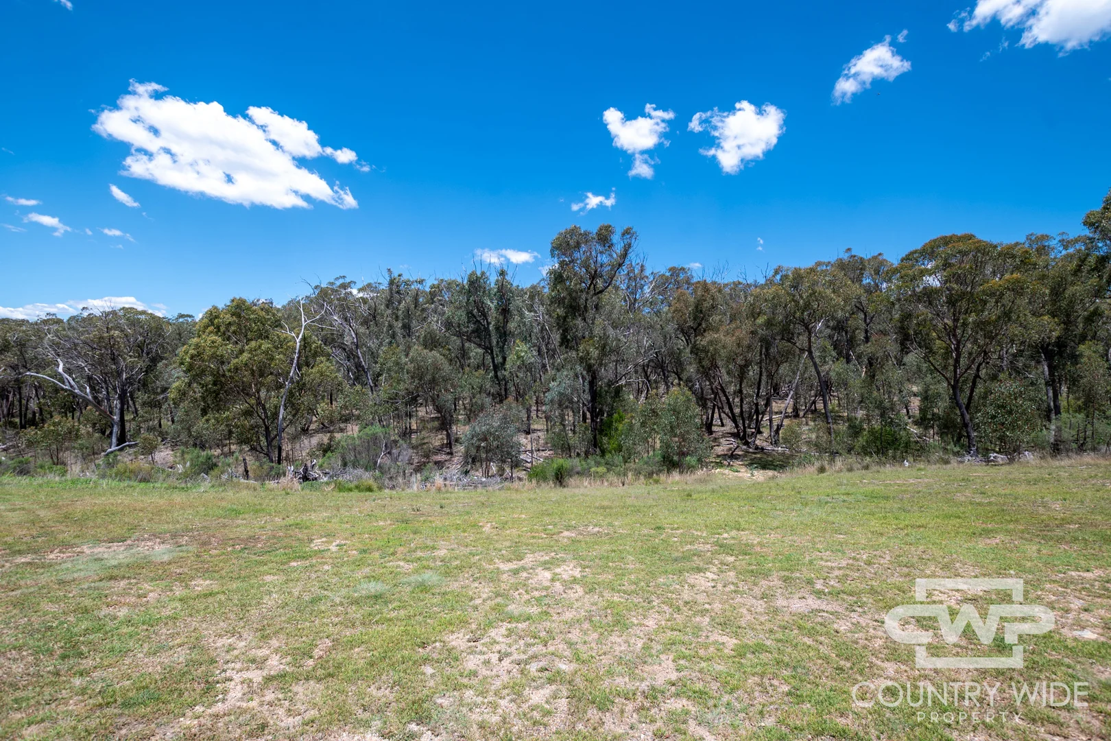Additional image 12 of 2135 Wellington Vale Road, Emmaville NSW 2371