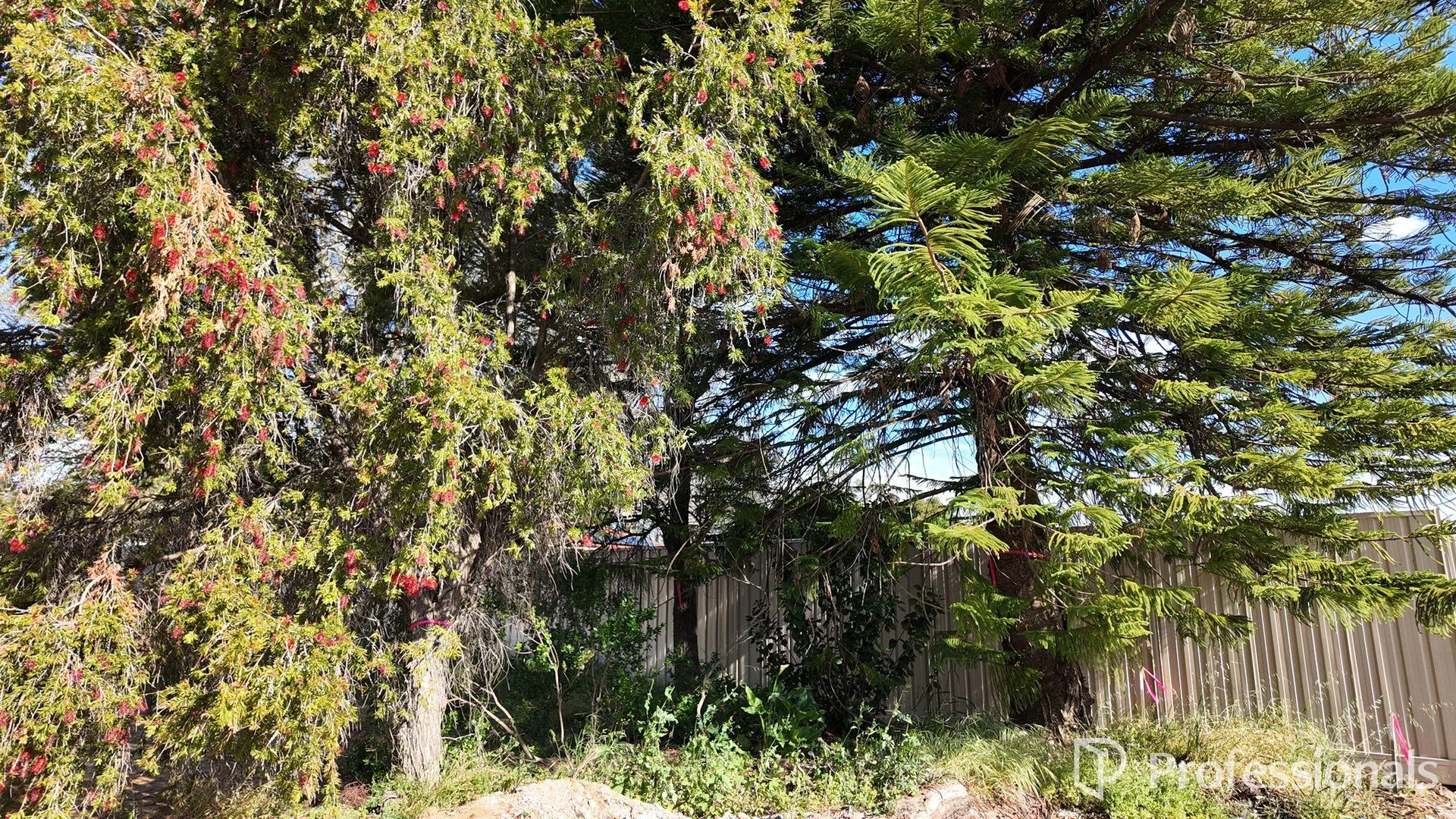 Additional image 5 of Lot Lot 2/26 Mary Street, Byford WA 6122