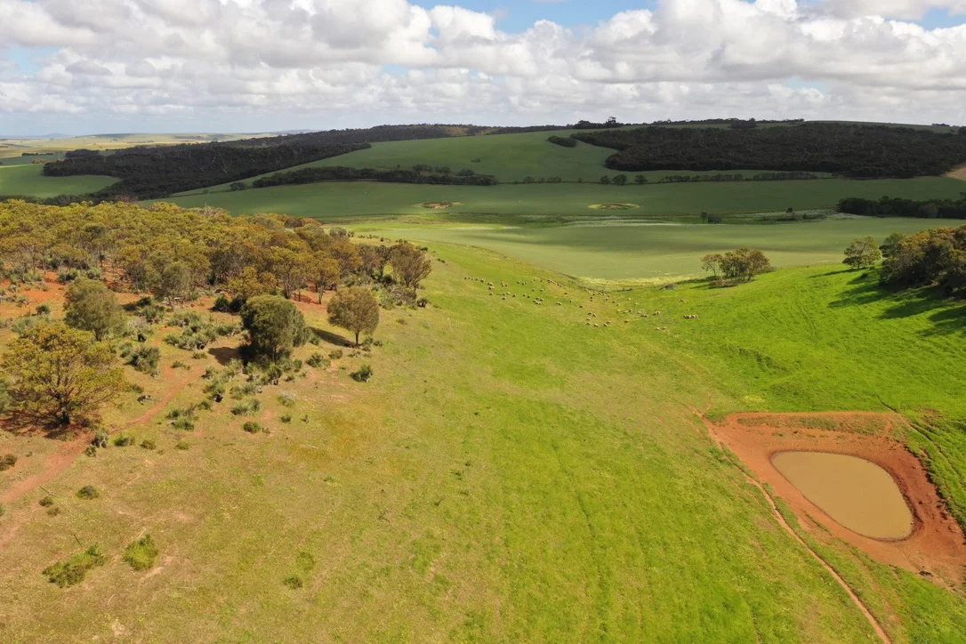 Additional image 6 of 251 Reservoir Drive, Whites Flat SA 5607