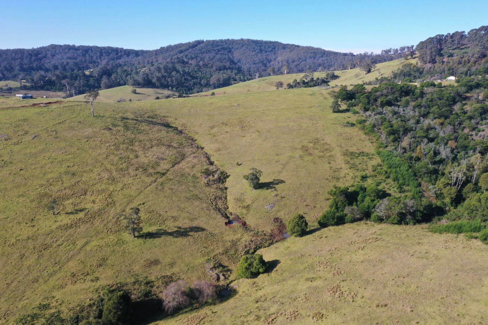 Additional image 25 of Lot 193 Fourter Road, Nethercote NSW 2549