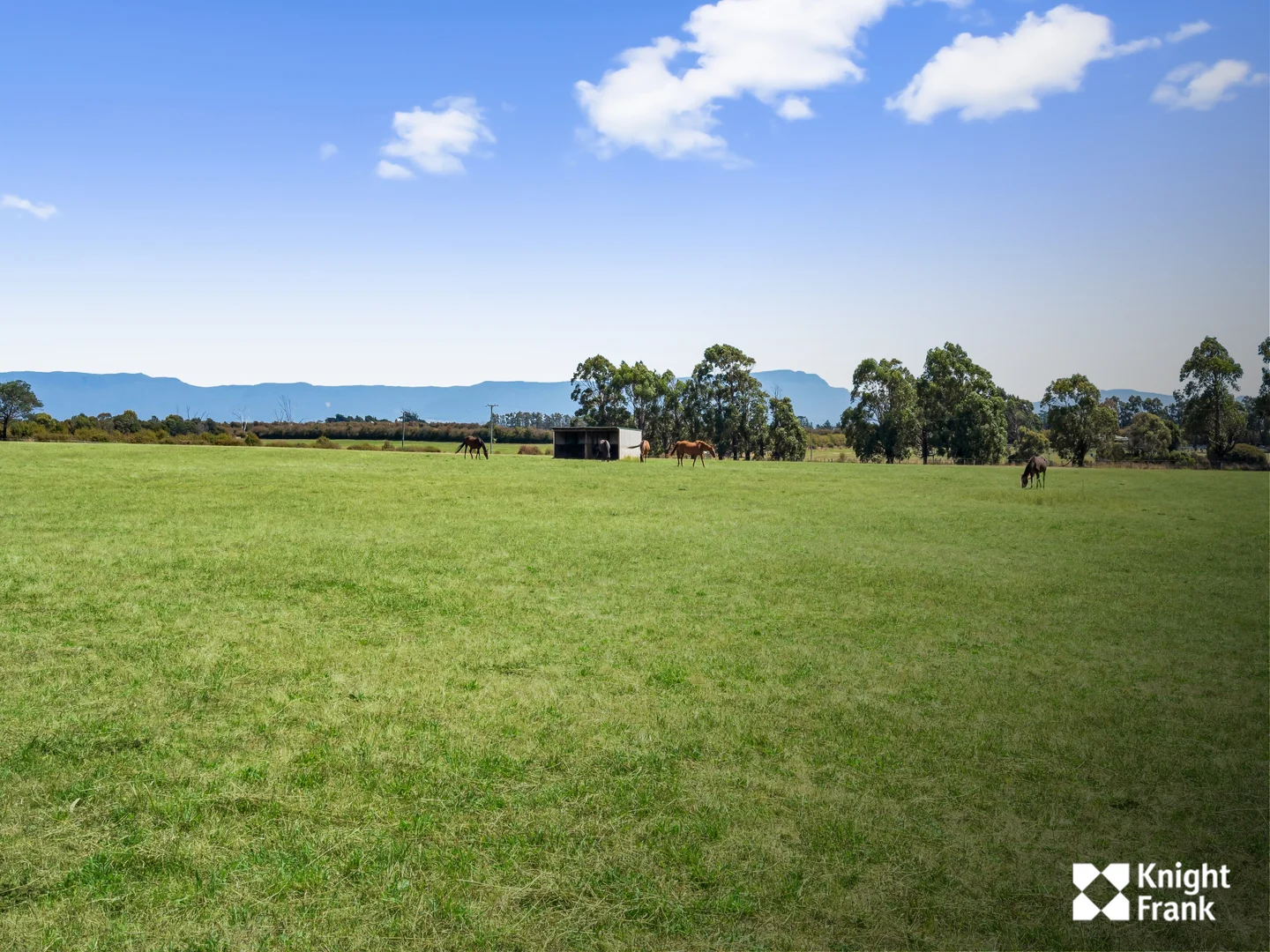 Additional image 18 of 510 Marlborough Street, Longford TAS 7301