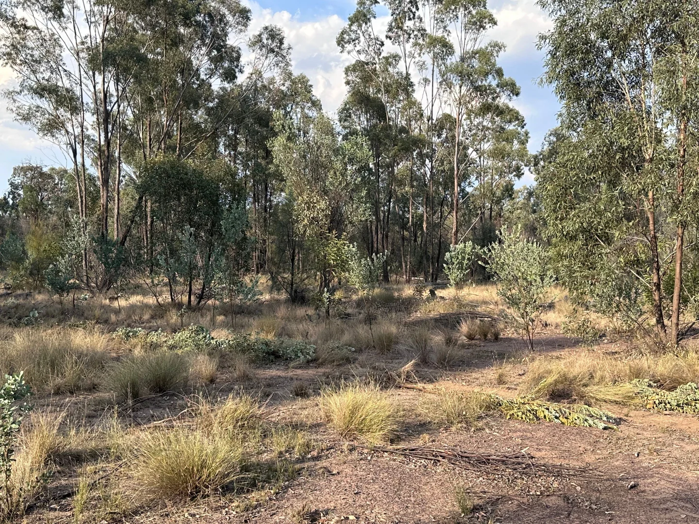 Additional image 24 of 15778 Surat Development Road, Goranba QLD 4421