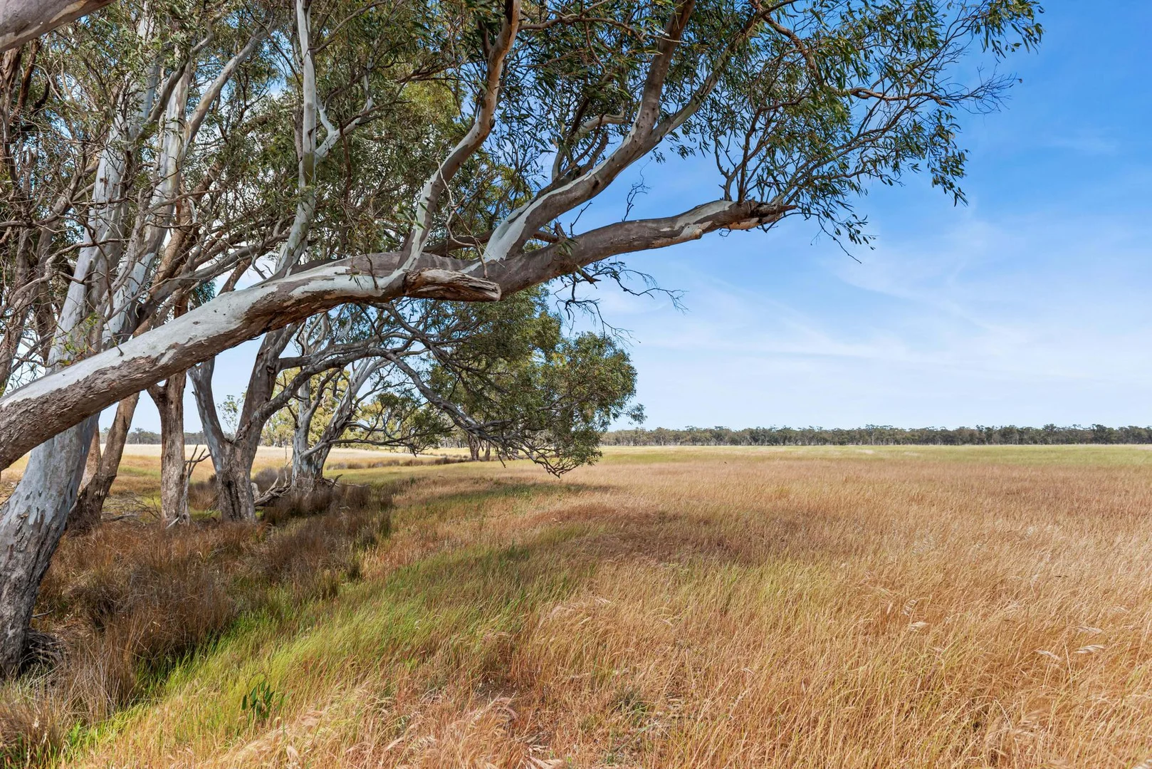 Additional image 11 of CA 15 & CA 16 Kellys Road, Kamarooka VIC 3570
