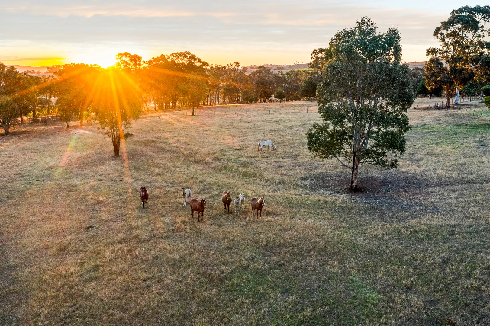 Additional image 16 of 164 Sills Lane, Mudgee NSW 2850