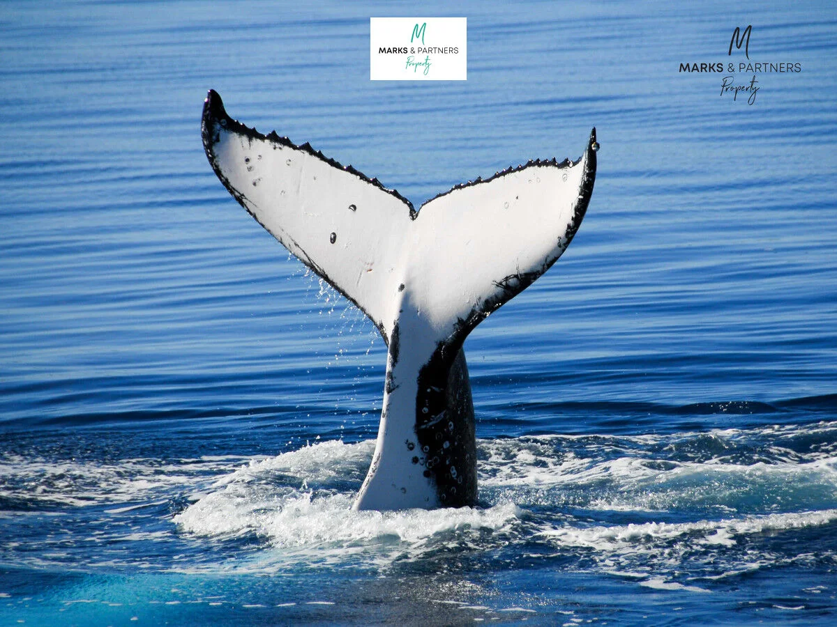 Additional image 12 of 192 Daphne Street, Booral QLD 4655