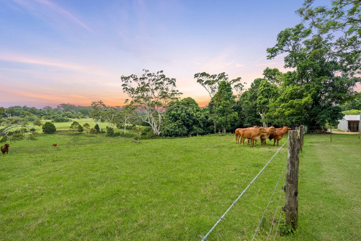 Additional image 12 of 34-72 West Road, Tamborine Mountain QLD 4272