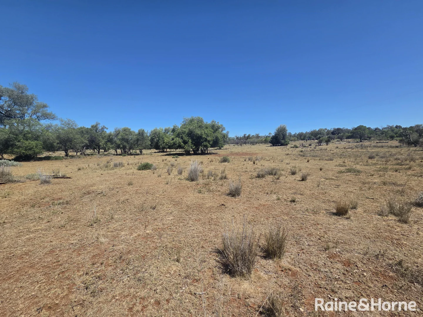 Additional image 34 of 647 Sweedmans Road, Limevale QLD 4384