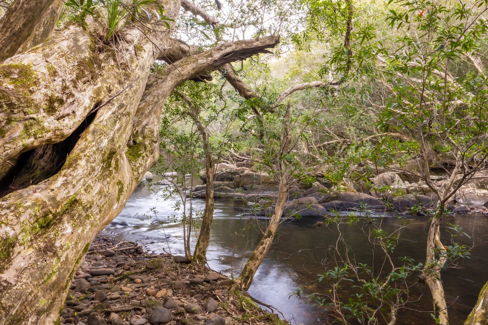 Additional image 11 of 56 Carisbrook Road, Morton NSW 2538