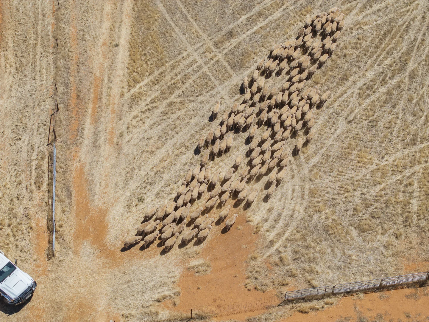 Additional image 13 of 'Klingers' Frost Road, Mannanarie SA 5422