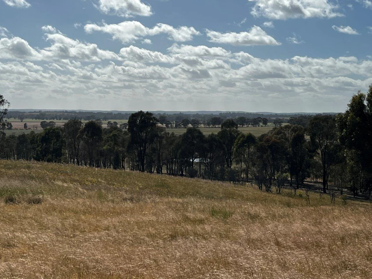 Additional image 13 of CA59D&59C Plain Road, Heathcote VIC 3523