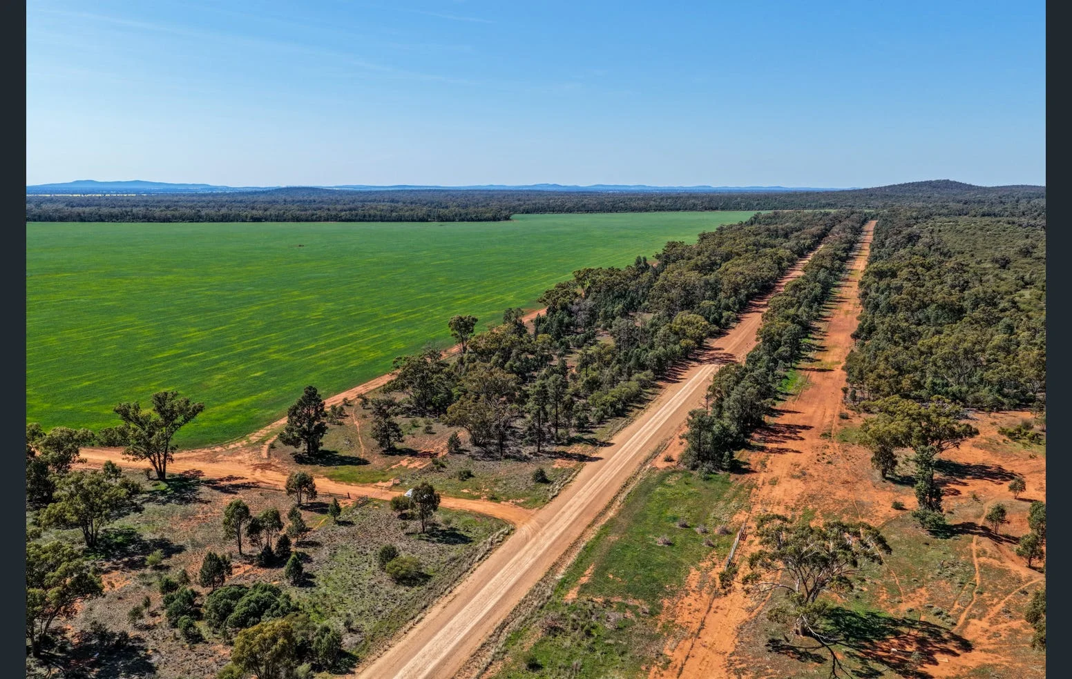 Additional image 6 of 'Black Range' 2880 Tallebung Road, Eremerang NSW 2877