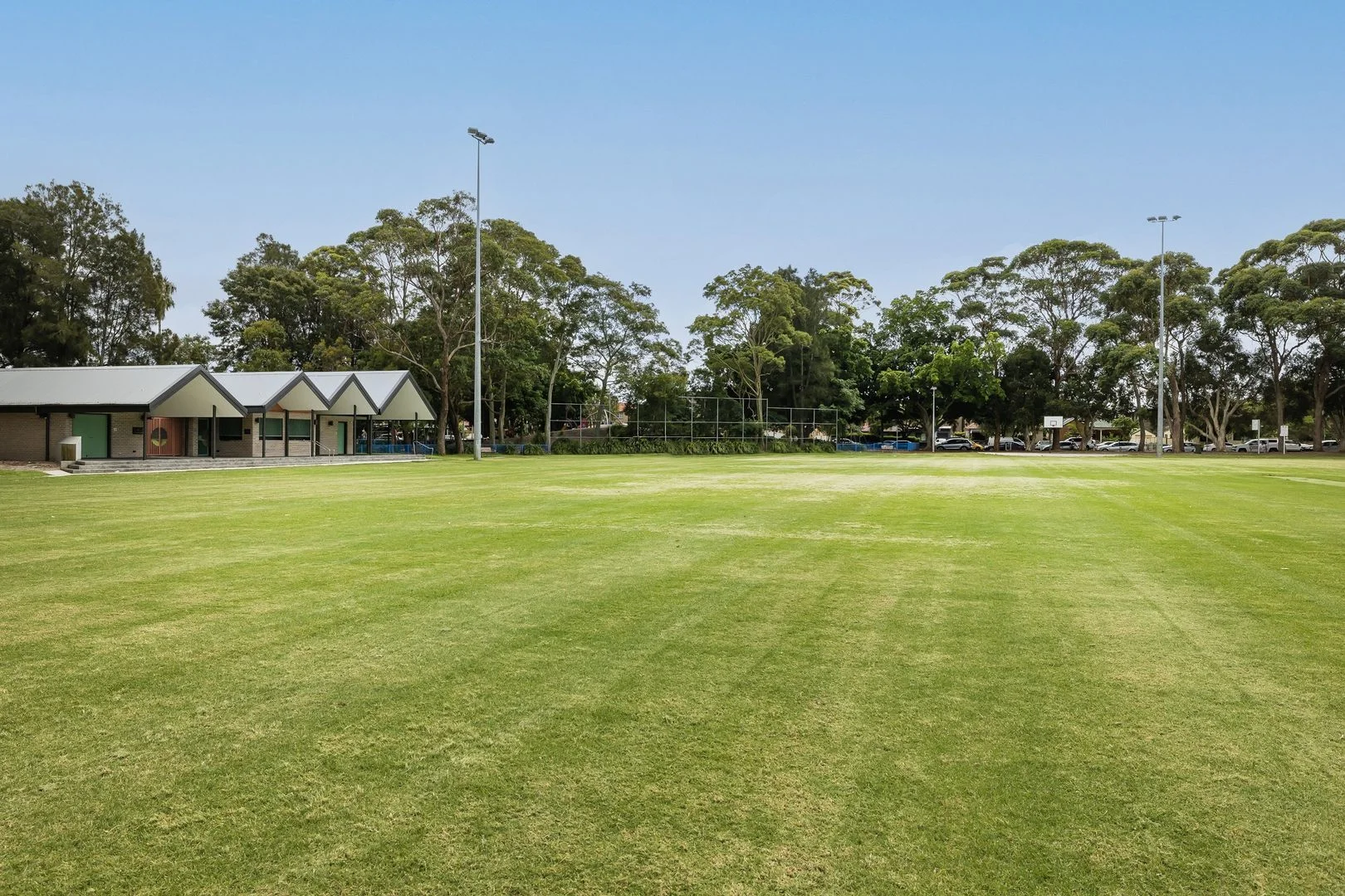 Additional image 10 of 44 Middlemiss Street, Mascot NSW 2020