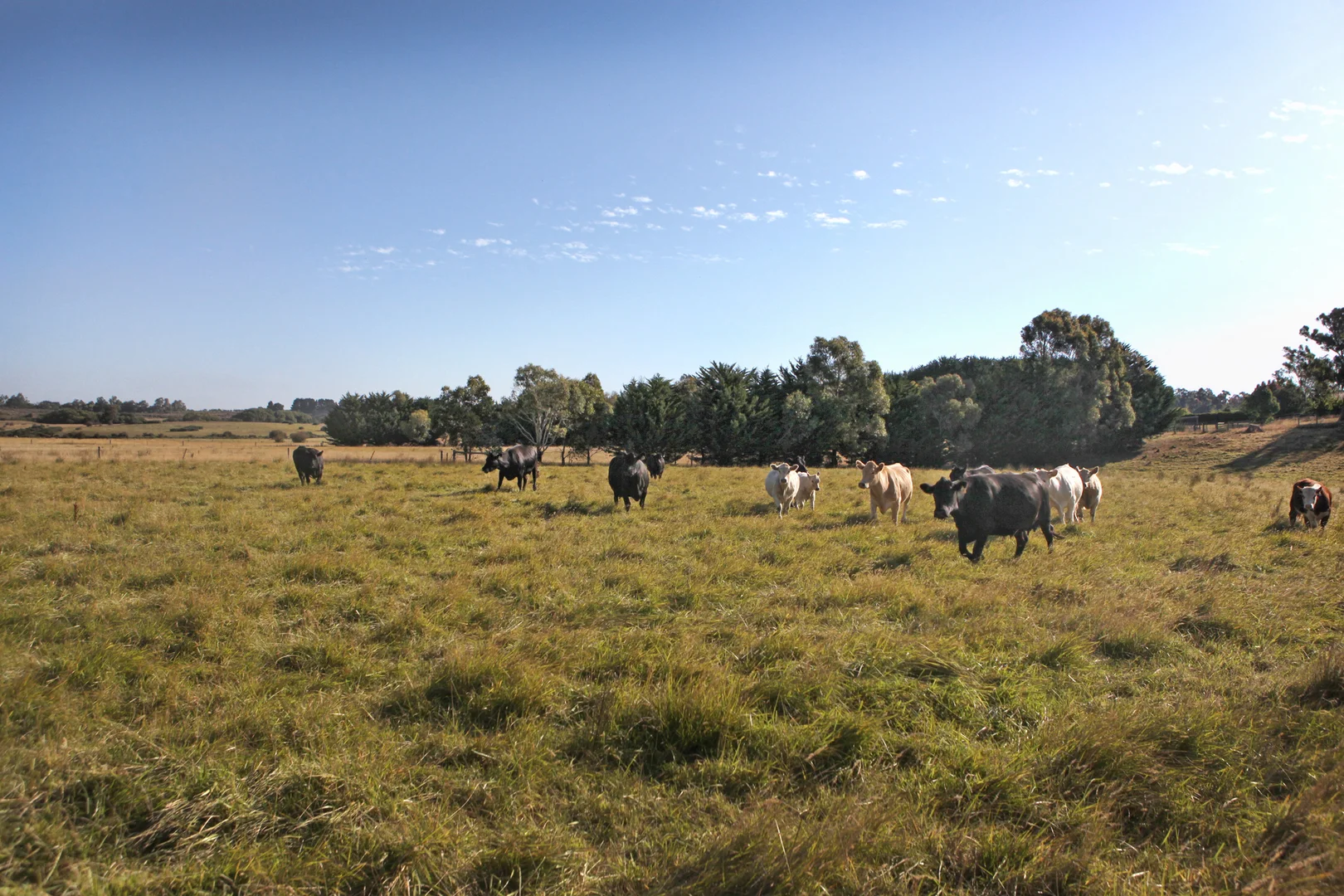 Additional image 22 of 125 Cemetery Road, Tylden VIC 3444