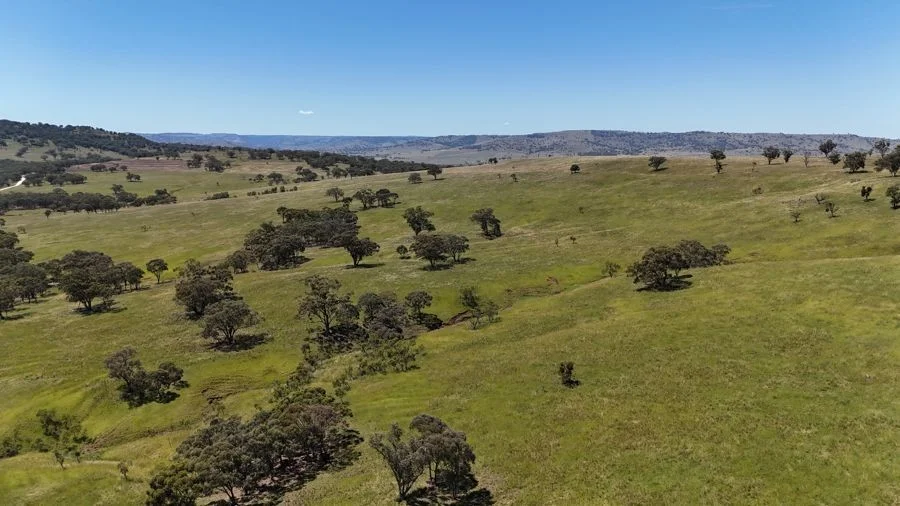 Additional image 15 of 190 BROWN SPRINGS ROAD, Coolah NSW 2843