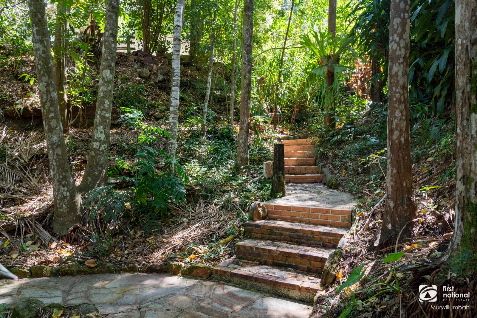 Additional image 9 of 1382 Numinbah Road, Chillingham NSW 2484