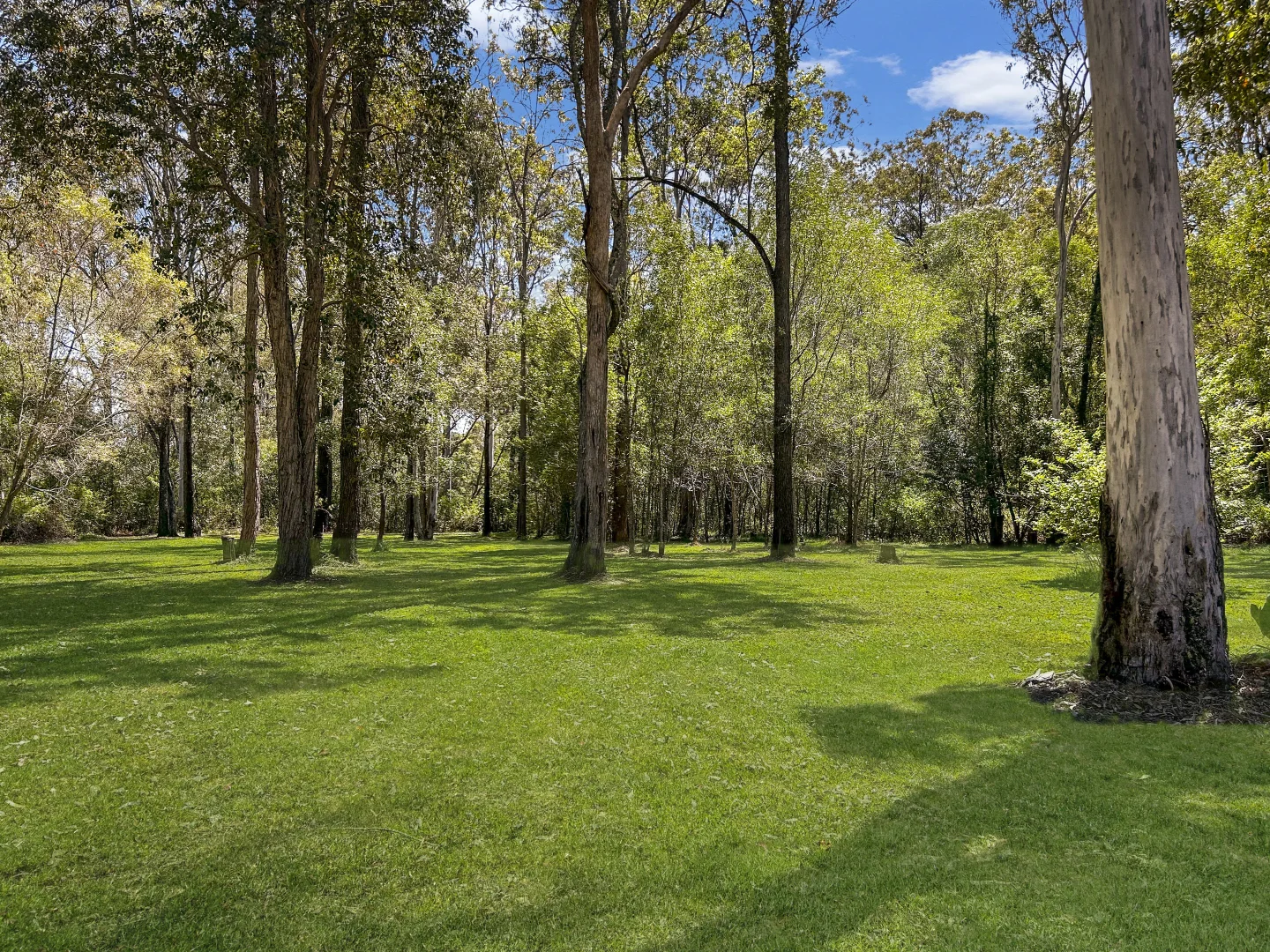 Additional image 18 of 475 Elliotts Road, Myrtle Creek NSW 2469