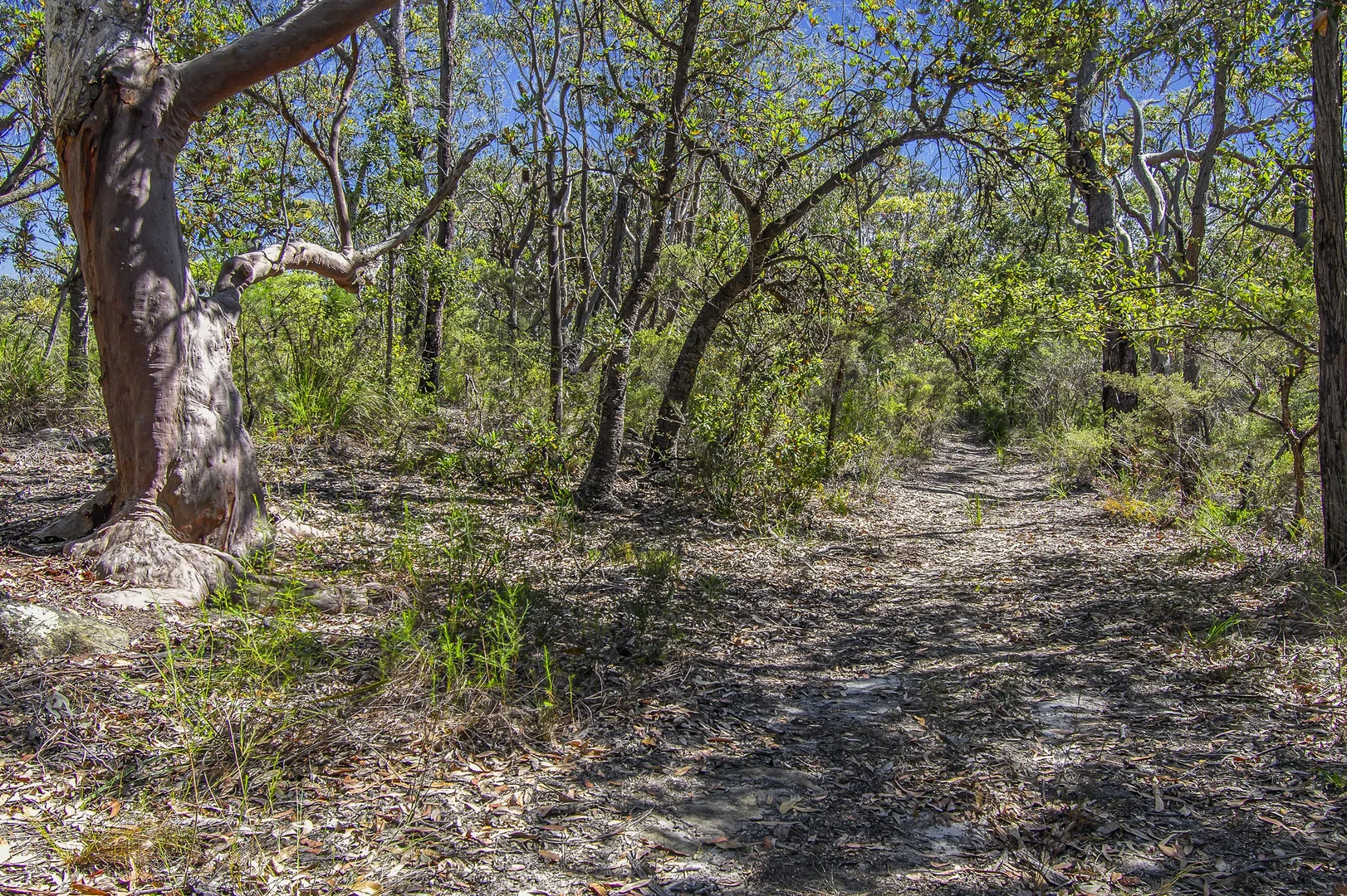 Additional image 5 of 167 Burralow Road, Kurrajong Heights NSW 2758