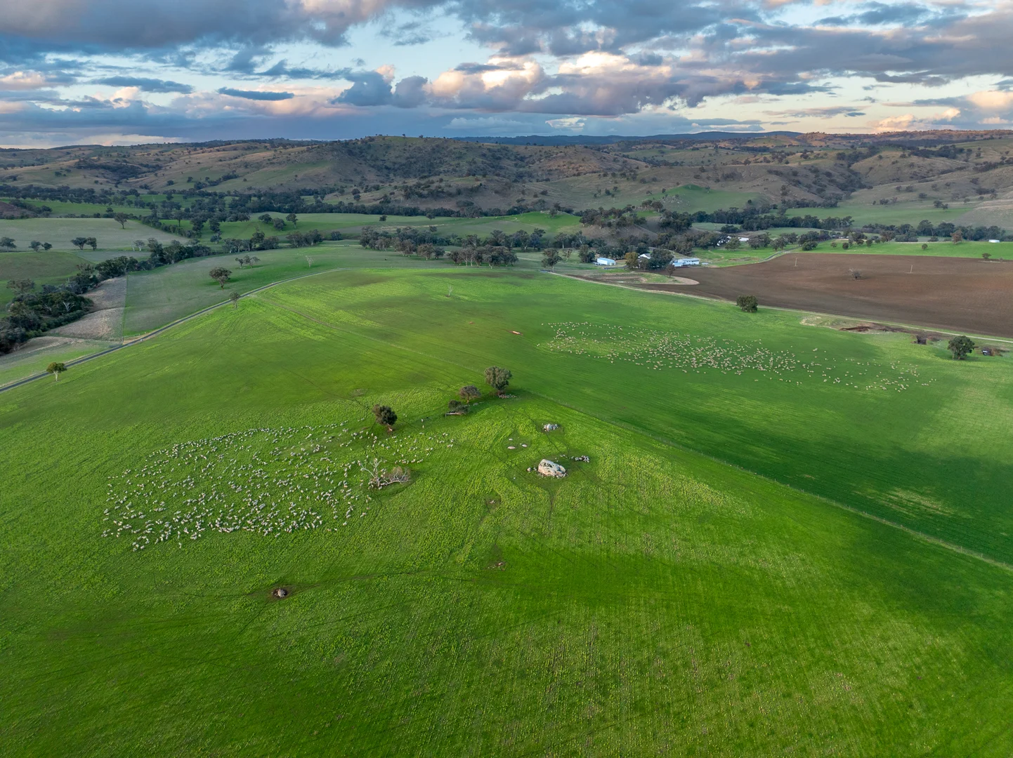 Additional image 32 of 1507 Pine Mount Road, Woodstock NSW 2793