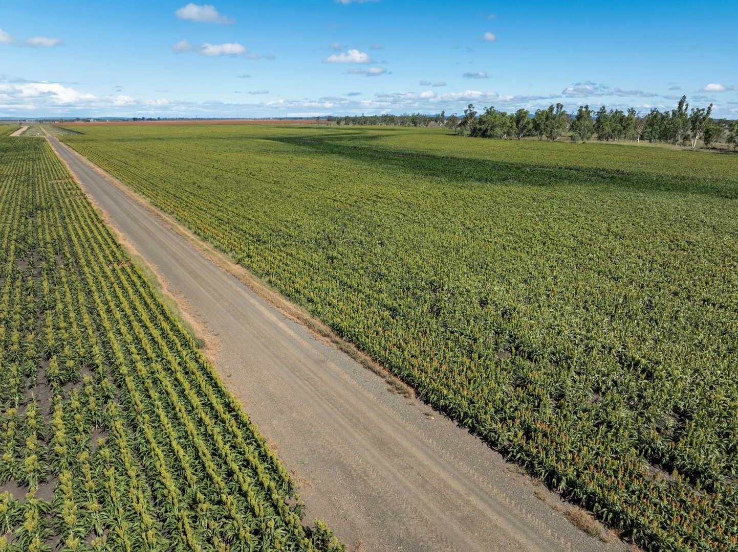 Additional image 18 of 1989 Millmerran Leyburn Road, Tummaville QLD 4352