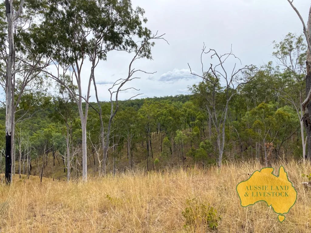 Additional image 11 of 2360 MONTO MOUNT PERRY ROAD, Yarrol QLD 4630