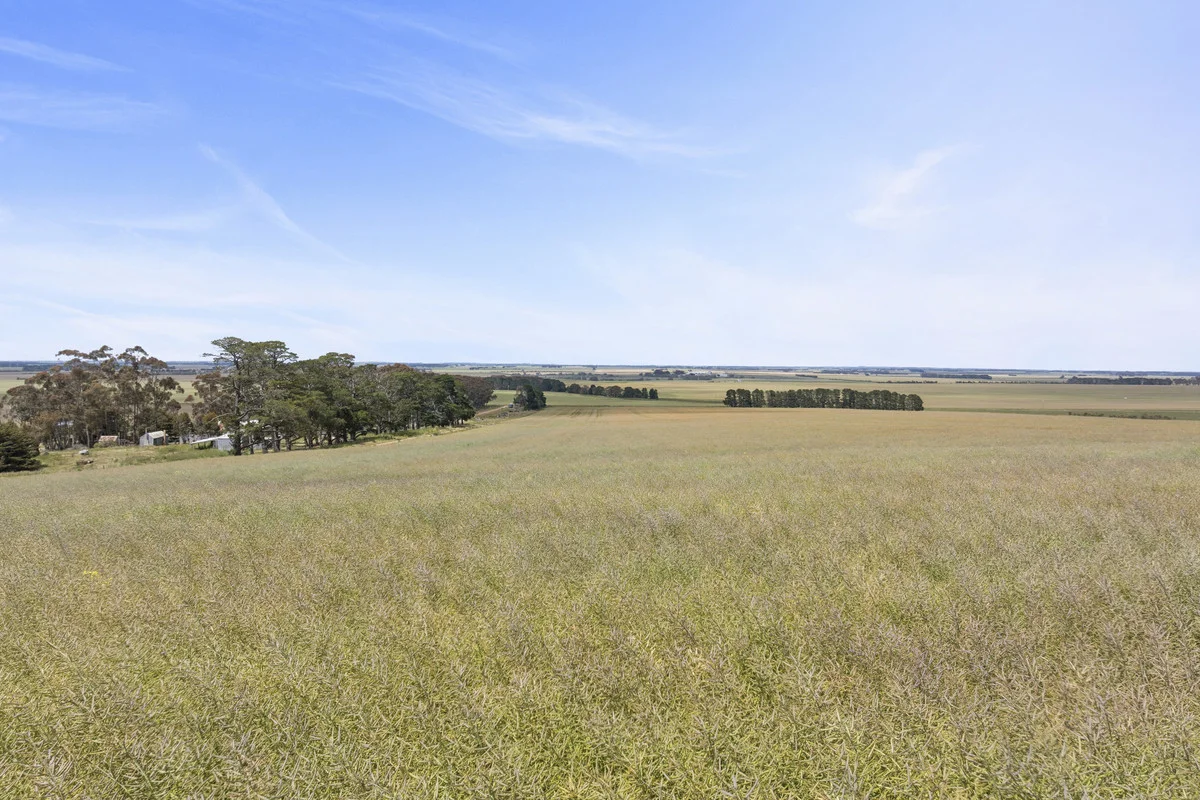 Additional image 4 of 1939 Delacombe Way, Tatyoon VIC 3378