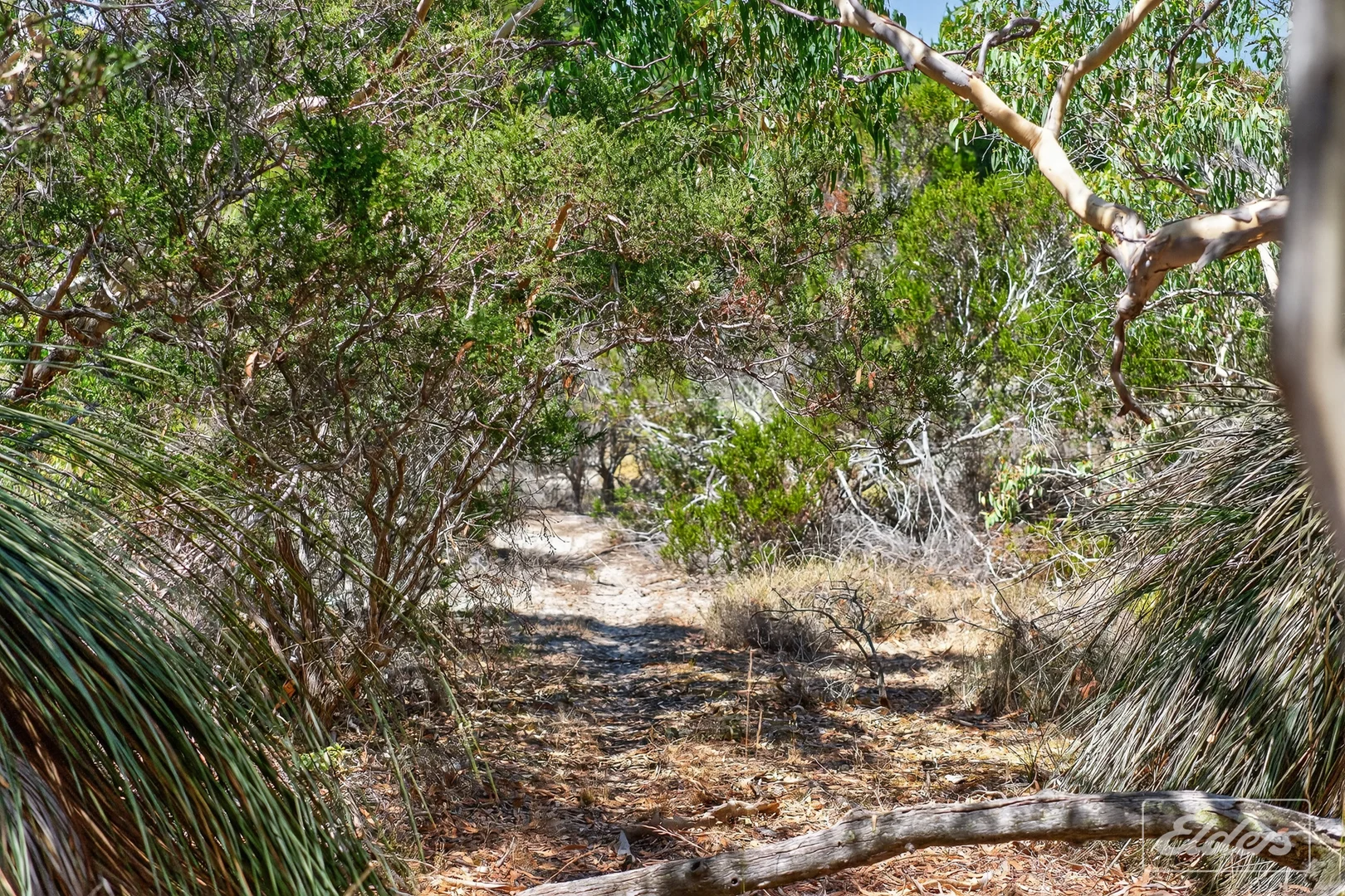 Additional image 80 of 839 Signal Flat Road, Finniss SA 5255