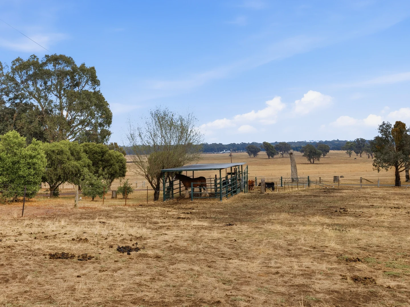 Additional image 27 of 45 Gibbs Lane, Moyhu VIC 3732