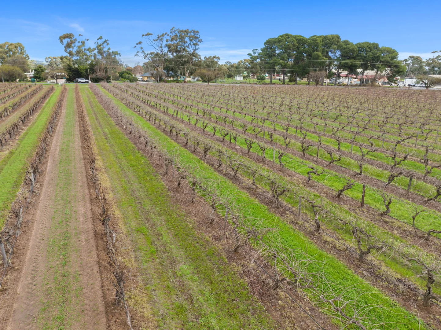 Additional image 13 of Lot 351 Angaston Road, Nuriootpa SA 5355