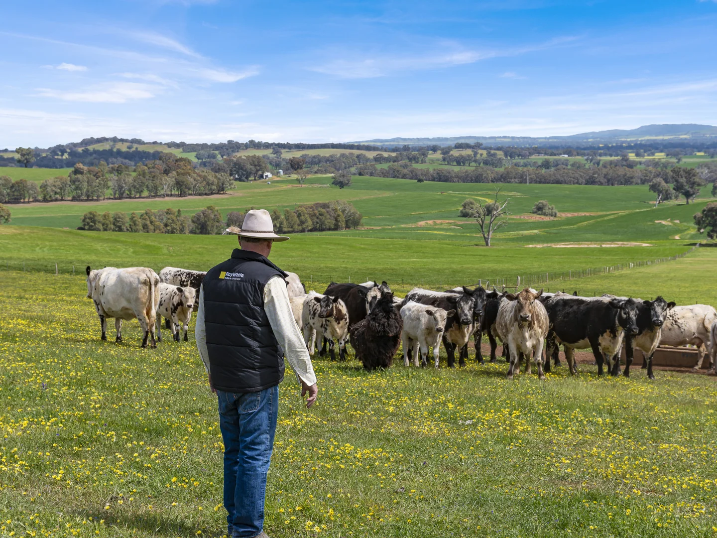 Additional image 32 of 2056 Benalla-Yarrawona Road, Bungeet West VIC 3726