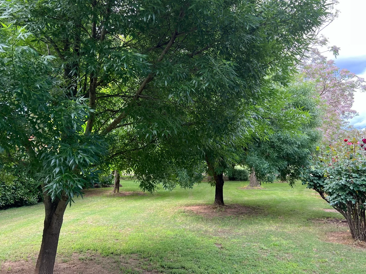 Additional image 2 of Gooloogong NSW 2805