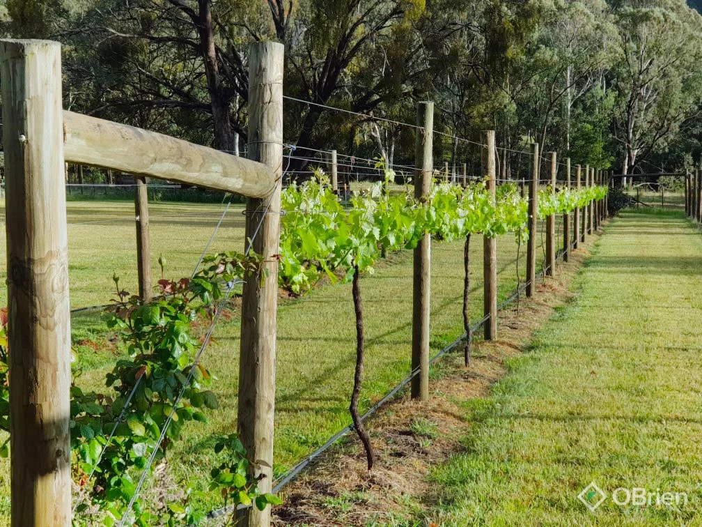 Additional image 6 of 8154 Dargo Road, Dargo VIC 3862