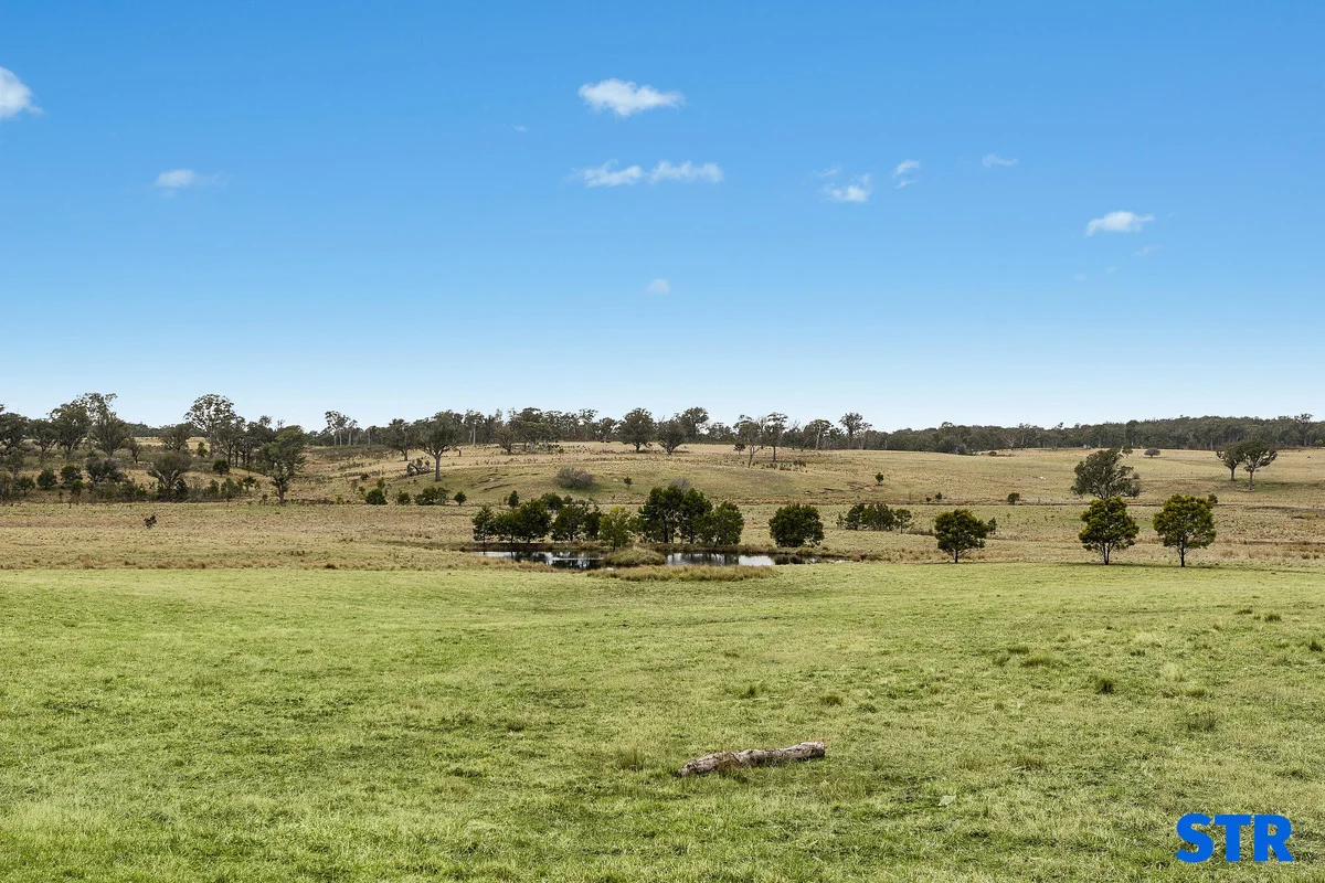 Additional image 11 of 1193 Bullamalita Road, Quialigo NSW 2580