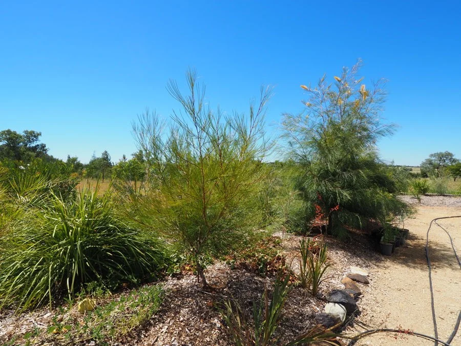 Additional image 12 of Warialda Rail NSW 2402