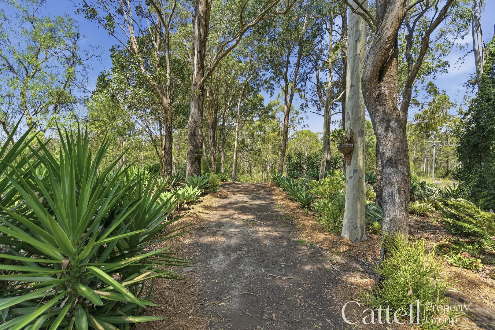Additional image 46 of 1332 George Booth Drive, Buchanan NSW 2323