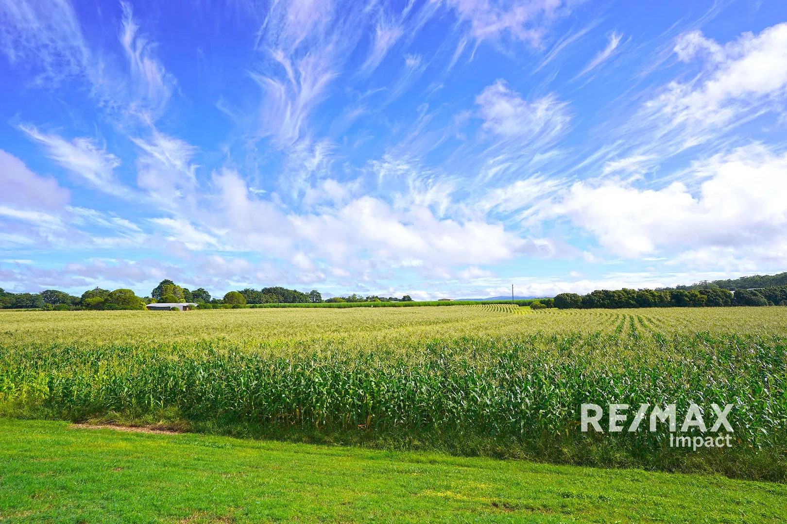 Additional image 14 of 4749 Gillies Range Road, East Barron QLD 4883