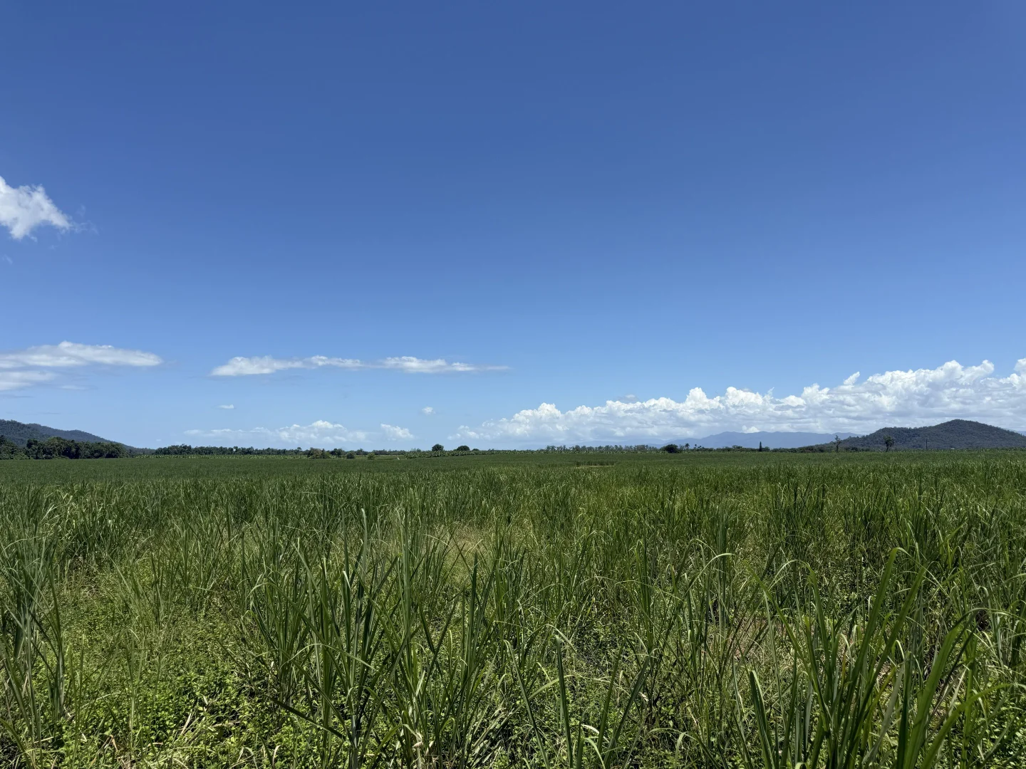 Additional image 13 of 53 Scougall Road, Jarra Creek QLD 4854