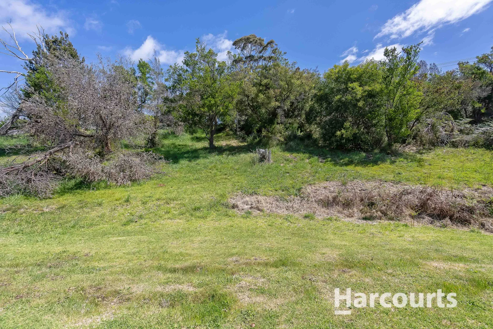 Additional image 8 of Emma Street, Bridport TAS 7262