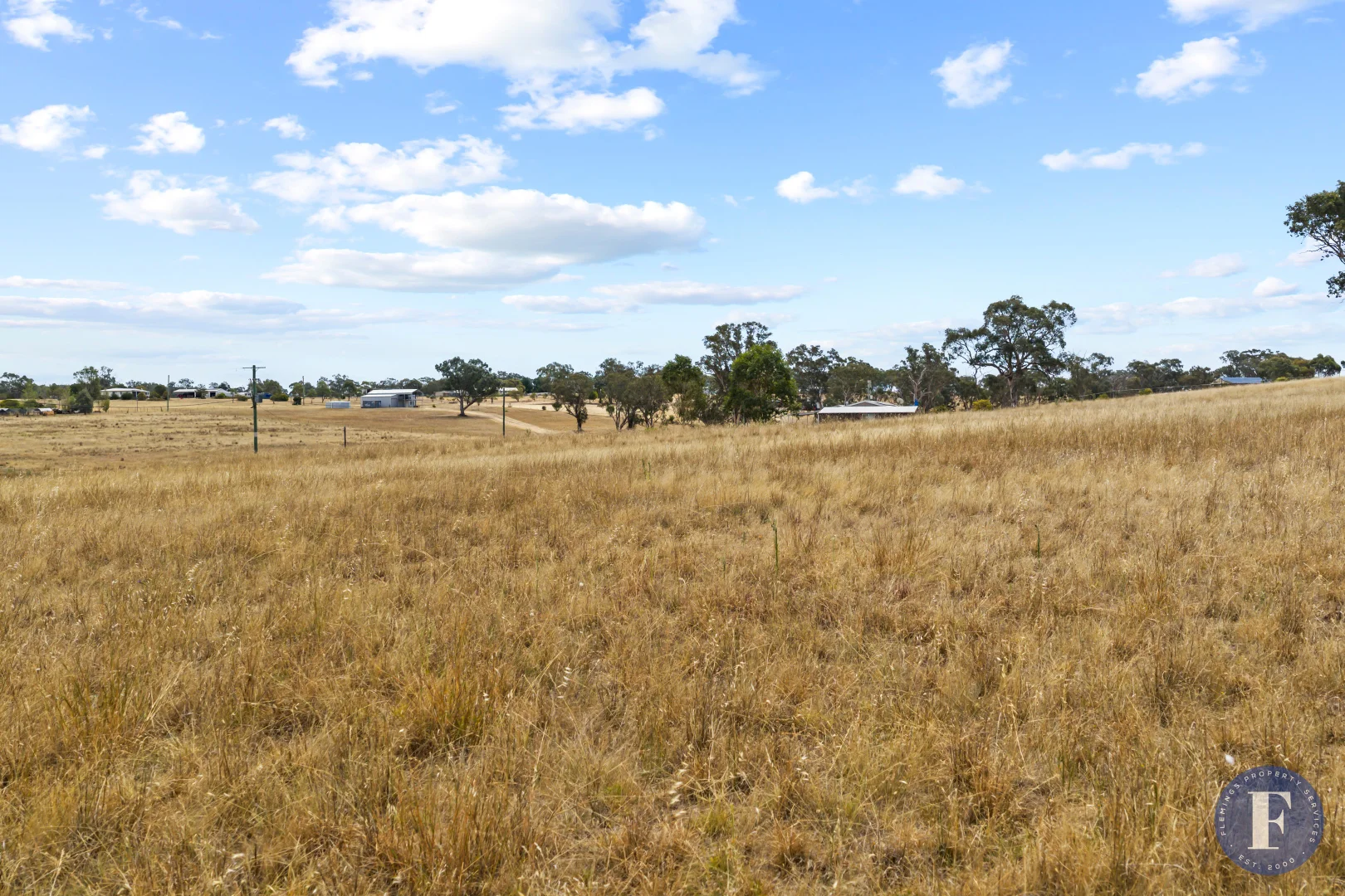 Additional image 5 of 77 Dowling Drive, Murringo NSW 2586