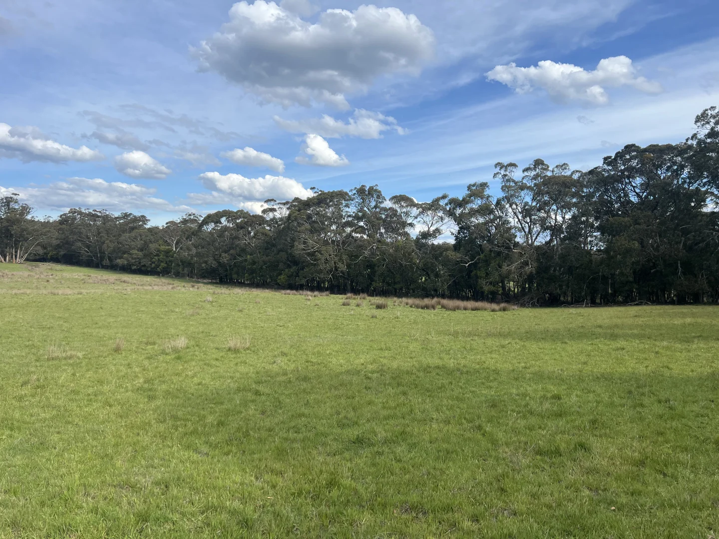 Additional image 4 of C/A 3 Birranes Road, Ashbourne VIC 3442