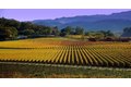 Additional image 24 of 1600 Atlas Peak Rd Unit 1295767P, Napa, CA, 94558
