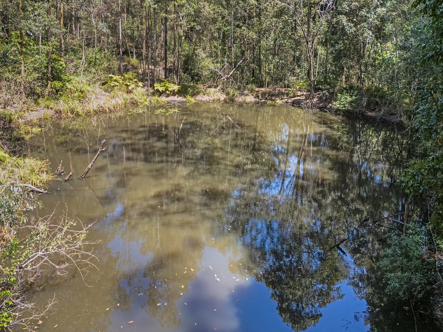 Additional image 21 of 171 Eudlo Road, Mooloolah Valley QLD 4553