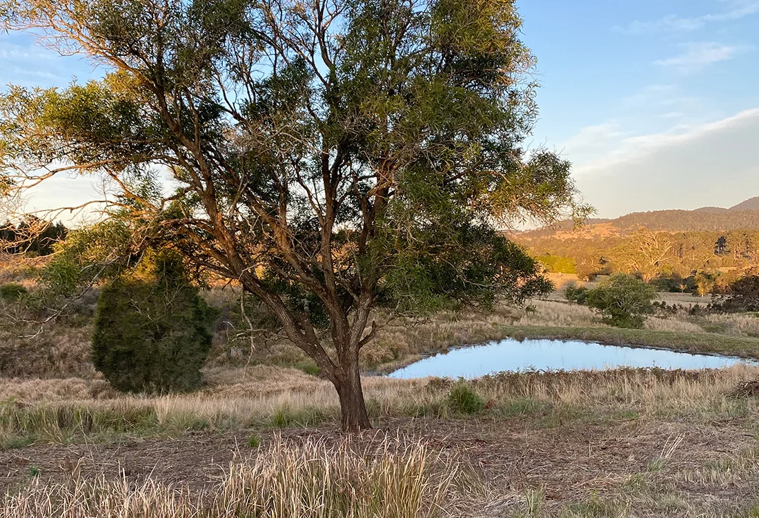 Additional image 2 of 212A Norries Road, Bunyah NSW 2429