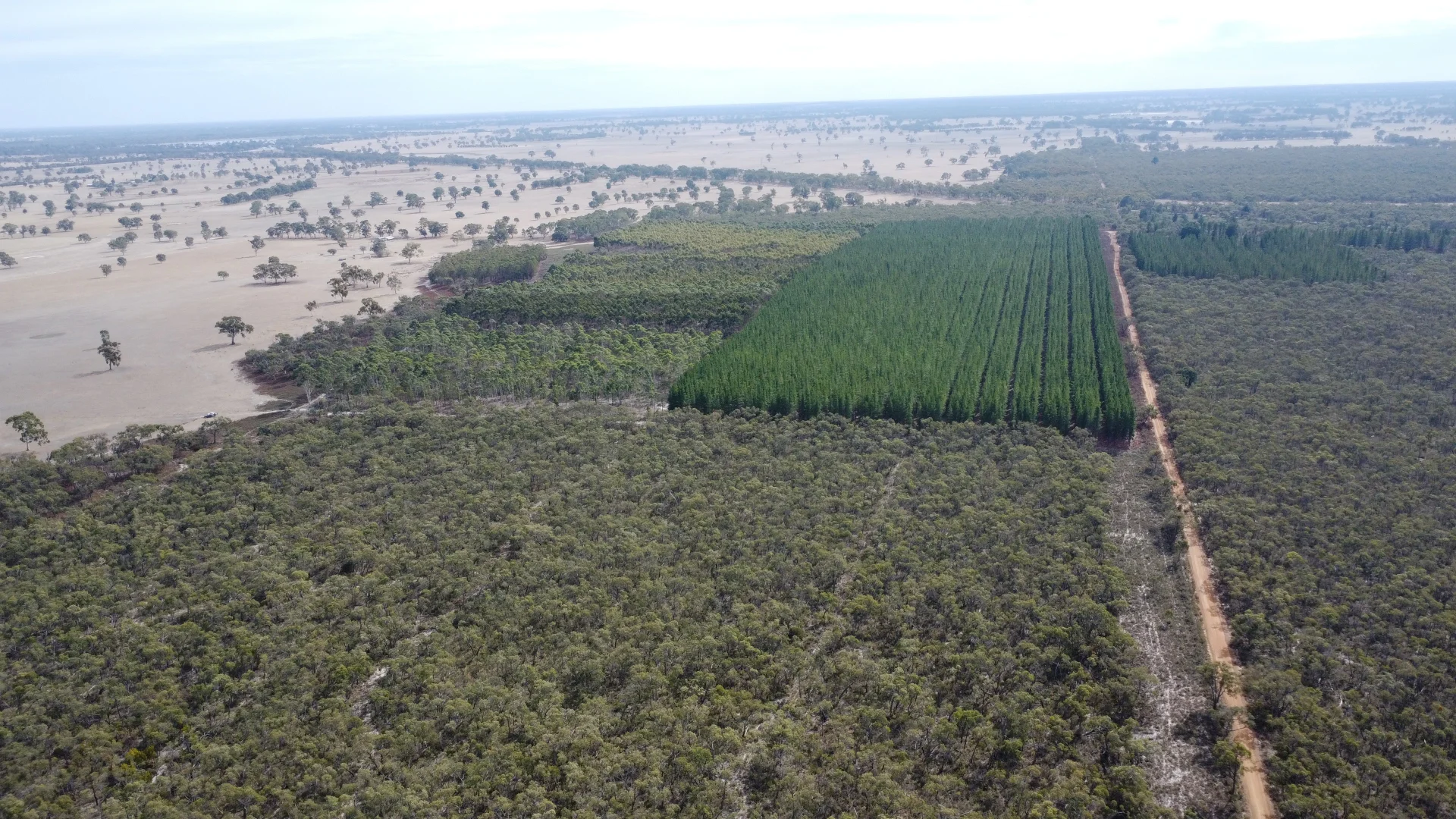 Additional image 3 of Lot 1 Jim Ryans Road, Edenhope VIC 3318