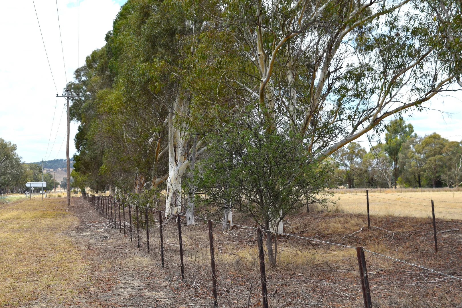 Additional image 3 of 1012 Urana Road, Jindera NSW 2642
